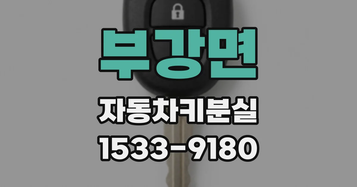 부강면 자동차키분실