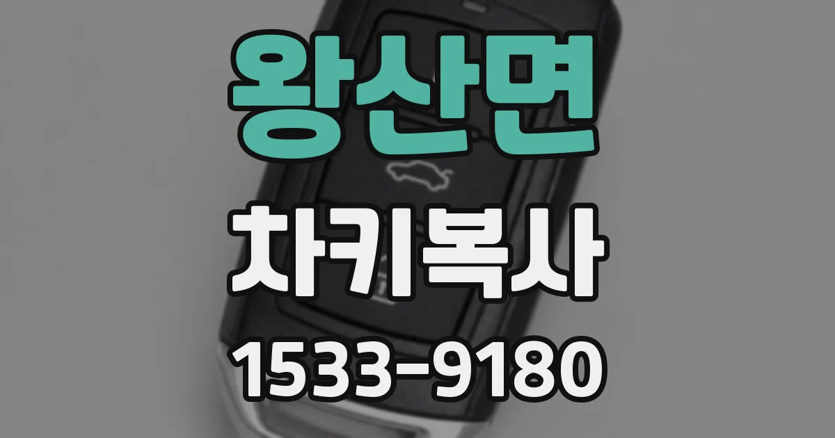 왕산면 차키복사