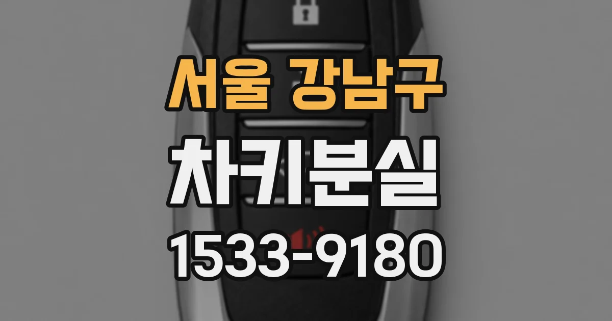 서울 강남구 차키분실