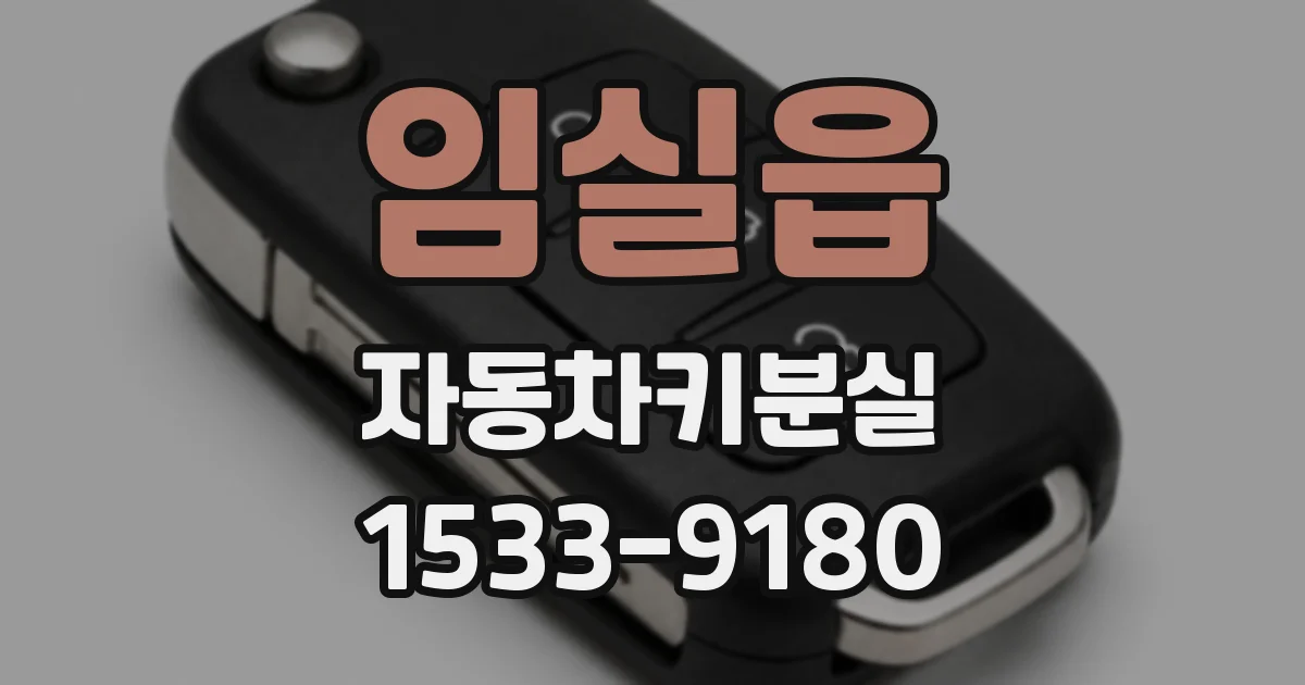 임실읍 자동차키분실