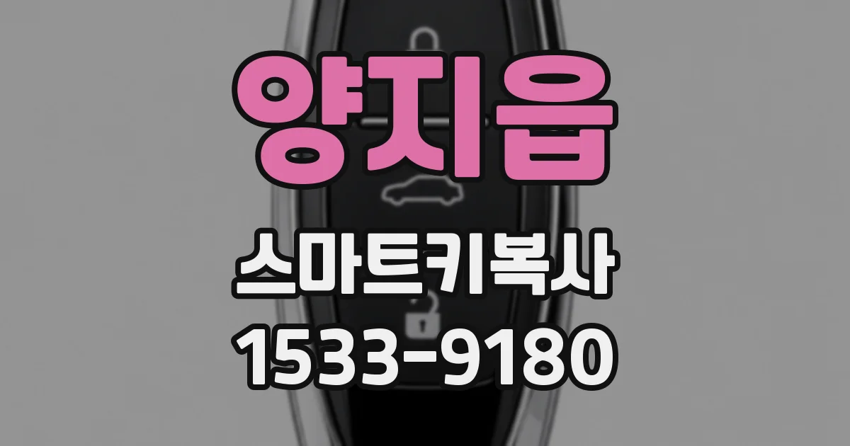 양지읍 스마트키복사