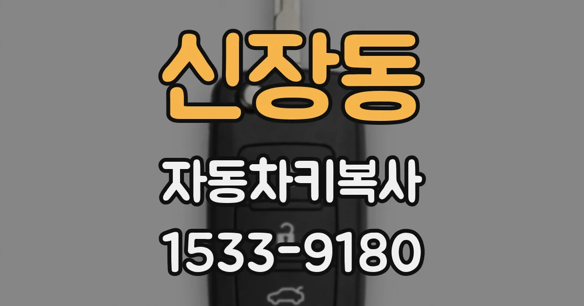 신장동 자동차키복사