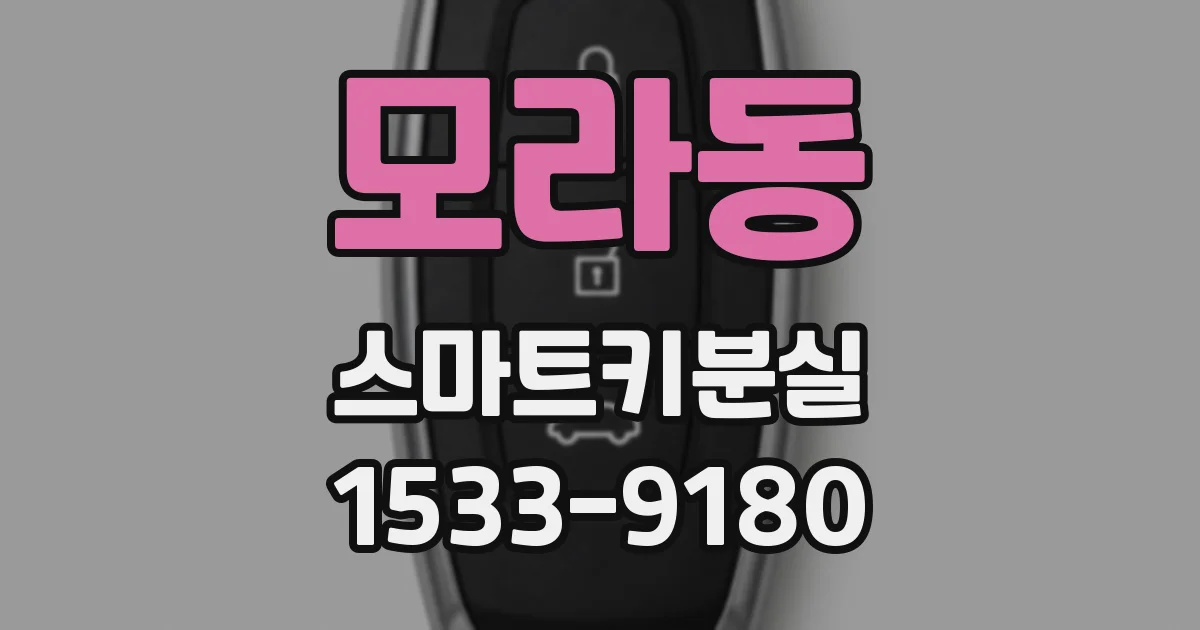 모라동 스마트키분실