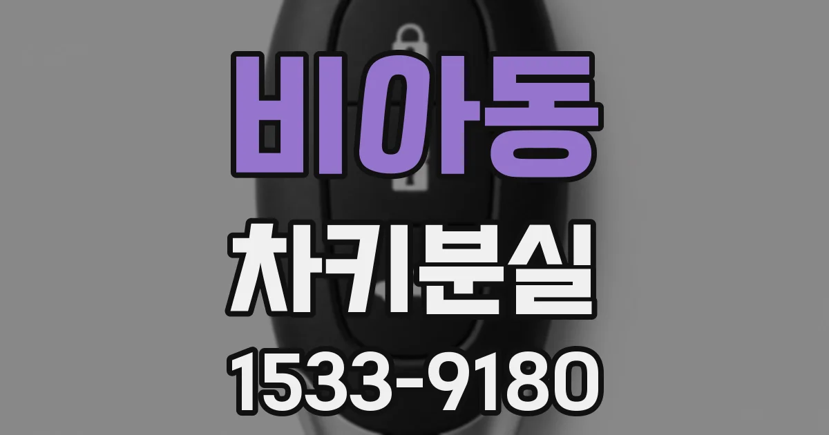 비아동 차키분실