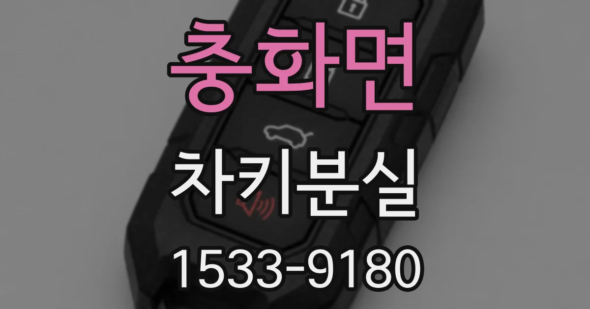 충화면 차키분실