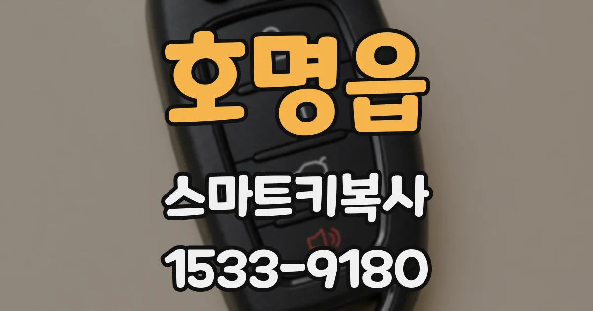 호명읍 스마트키복사