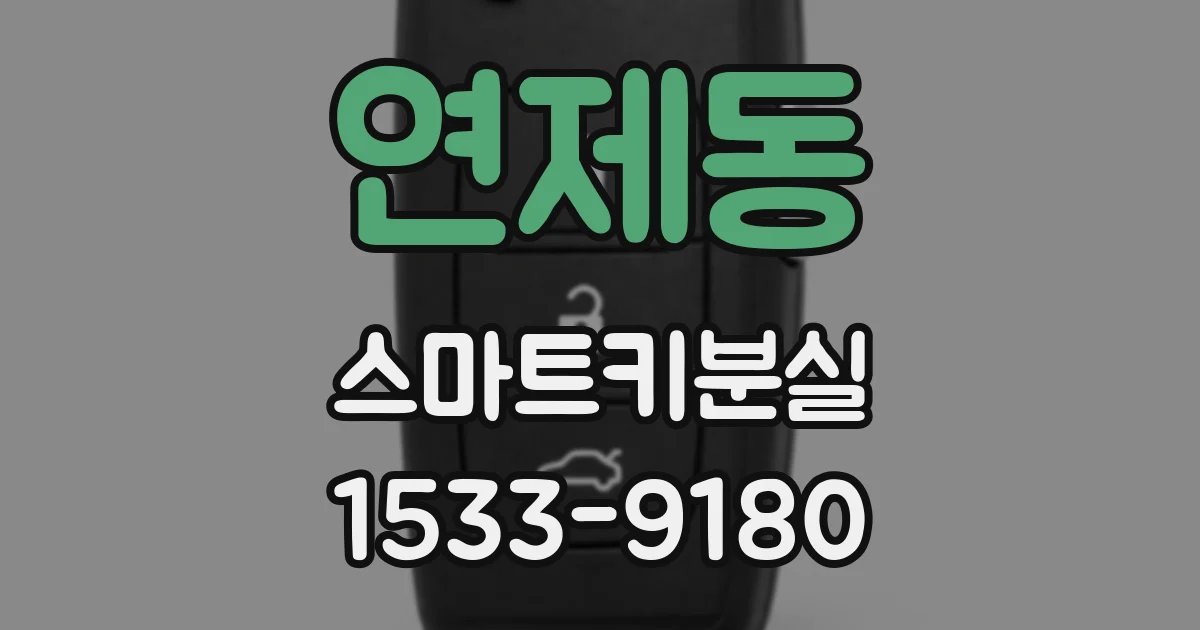 연제동 스마트키분실
