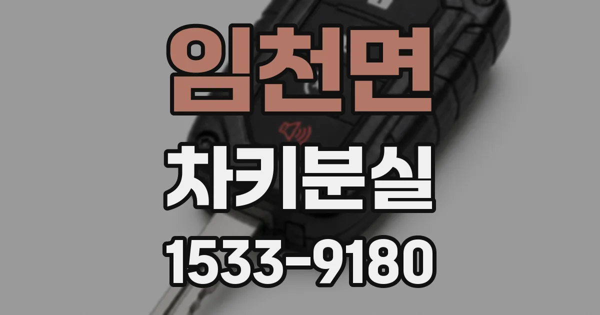 임천면 차키분실