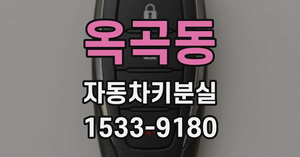 옥곡동 자동차키분실