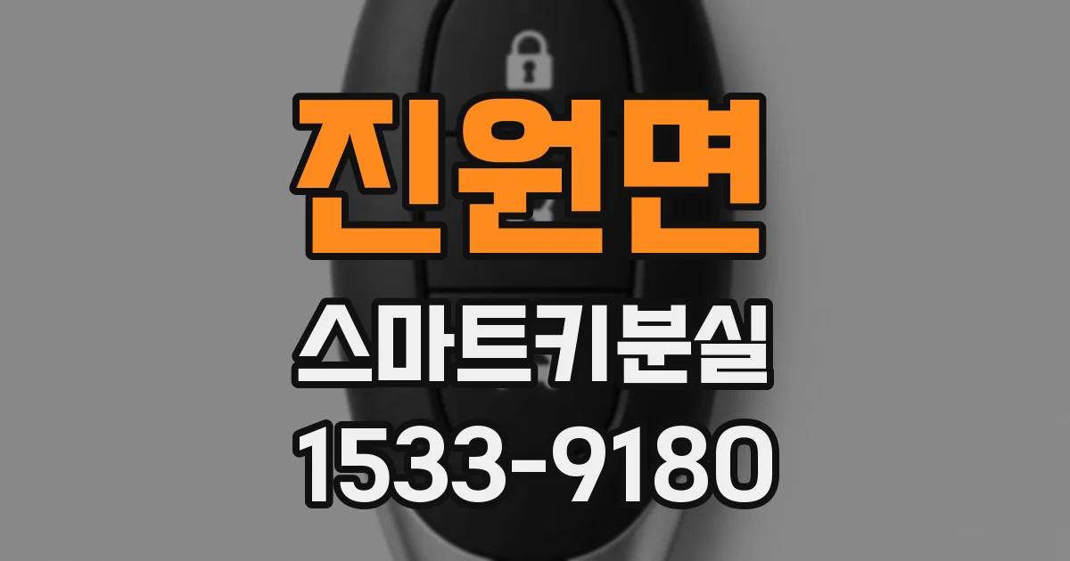 진원면 스마트키분실
