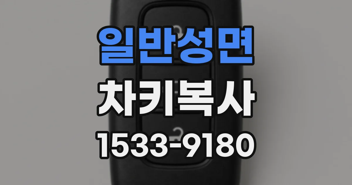 일반성면 차키복사