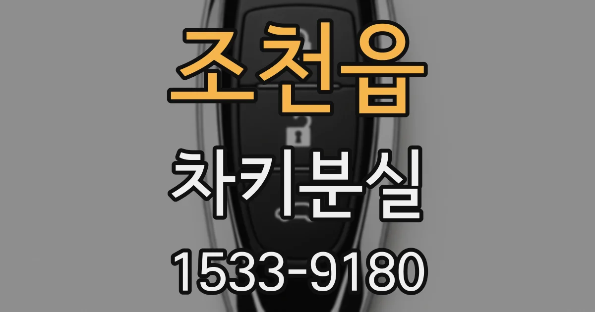 조천읍 차키분실