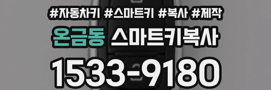 온금동 스마트키복사