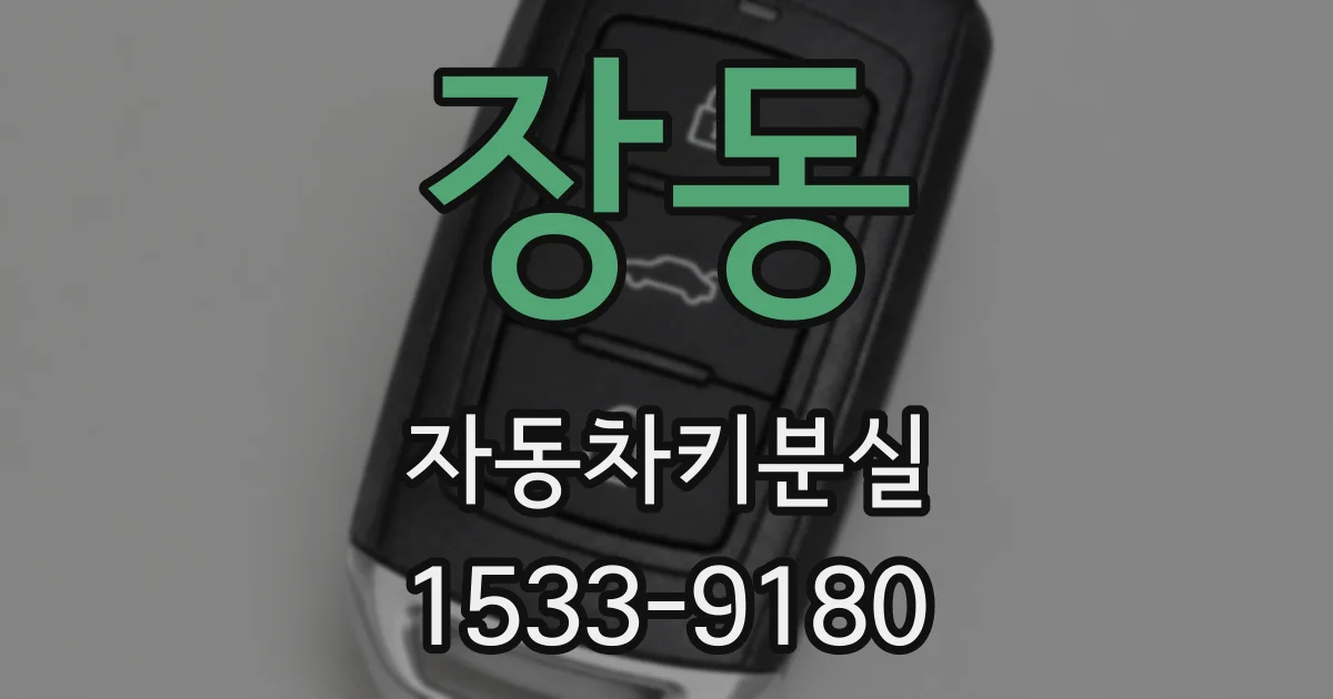 장동 자동차키분실