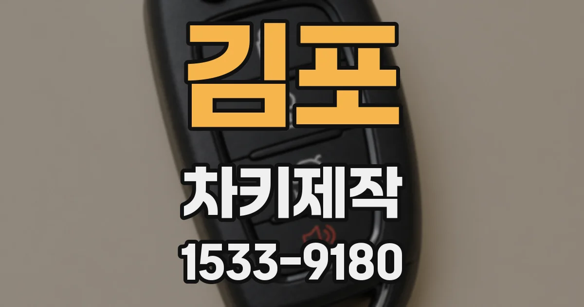 김포 차키제작