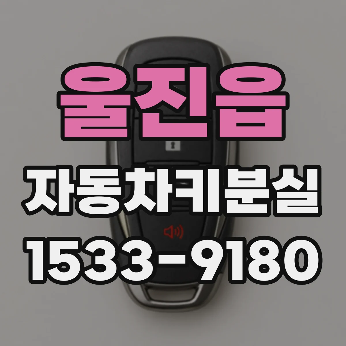 울진읍 자동차키분실
