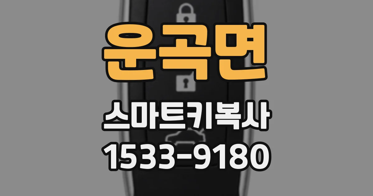운곡면 스마트키복사
