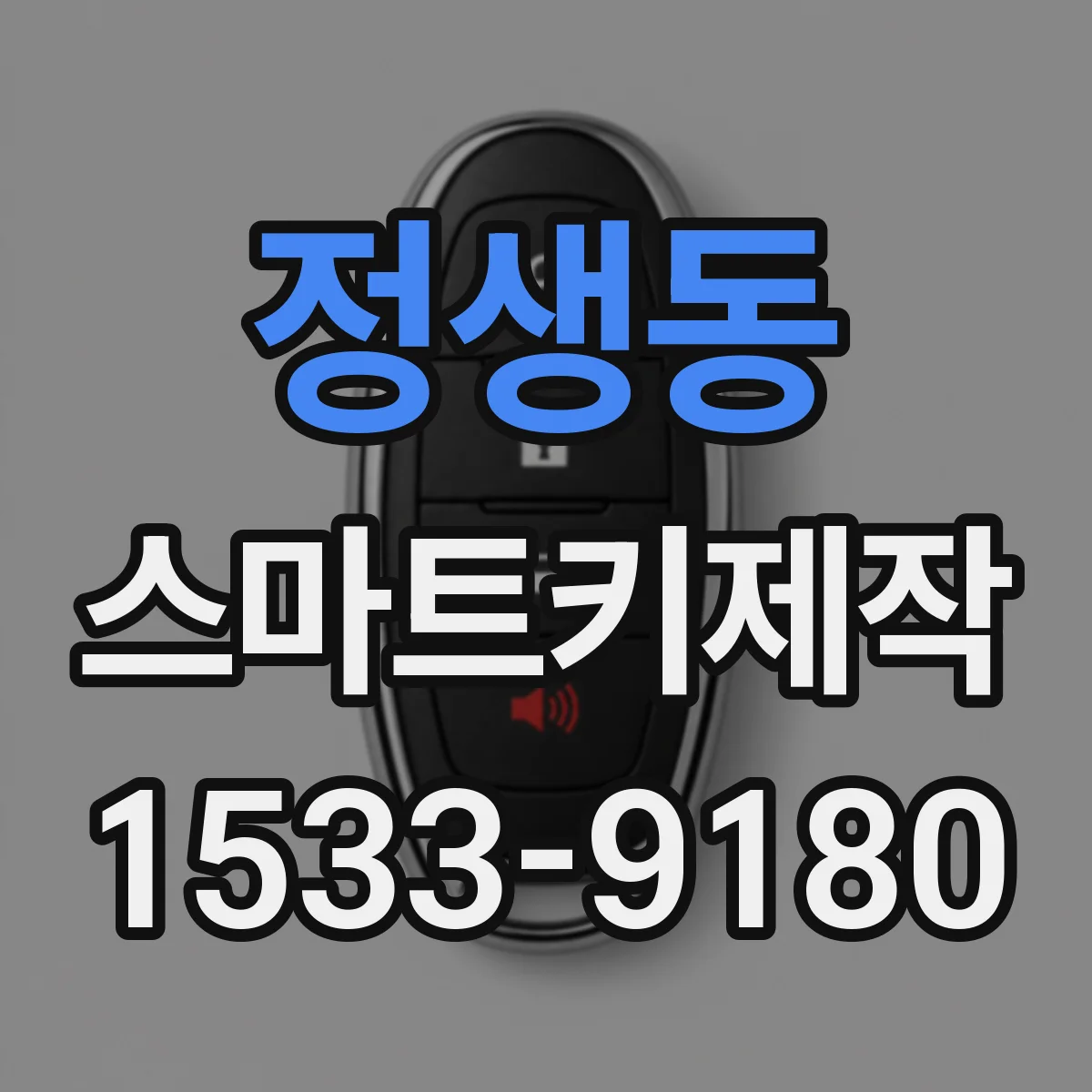 정생동 스마트키제작