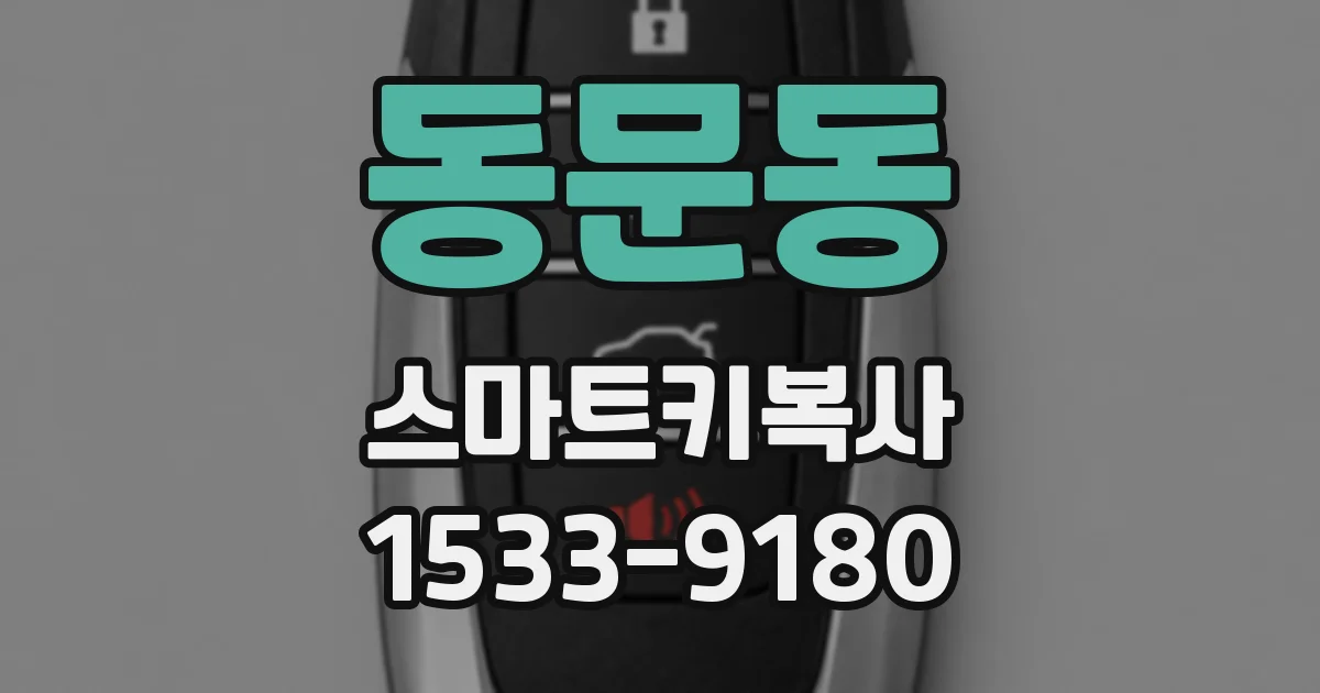 동문동 스마트키복사