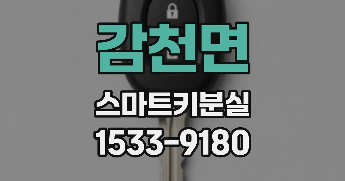 감천면 스마트키분실