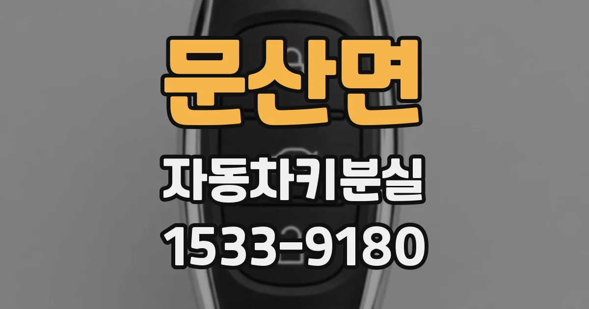 문산면 자동차키분실