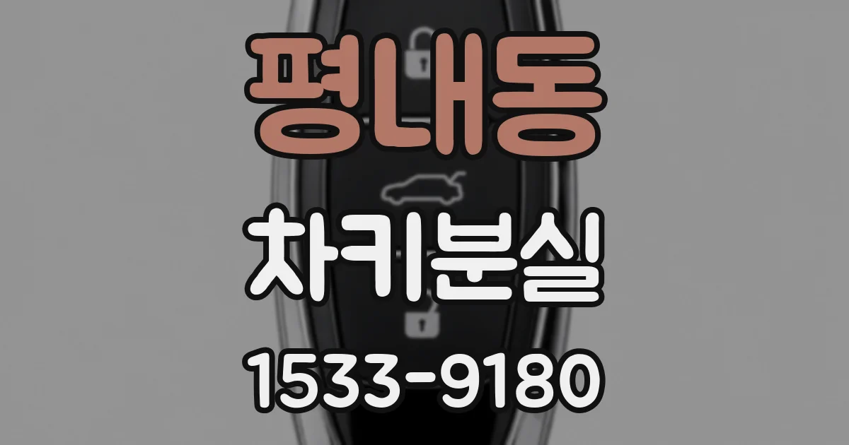 평내동 차키분실
