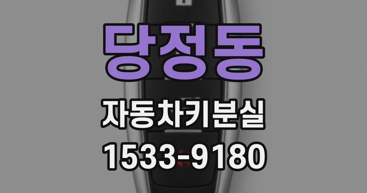 당정동 자동차키분실
