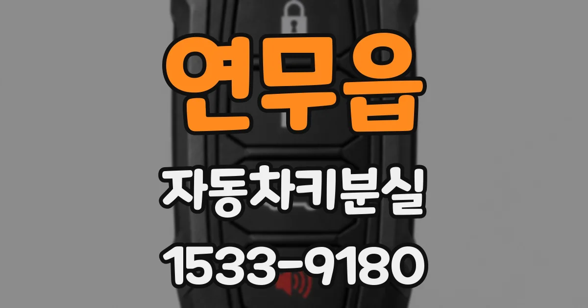 연무읍 자동차키분실