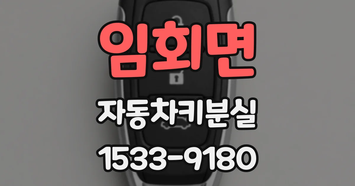 임회면 자동차키분실