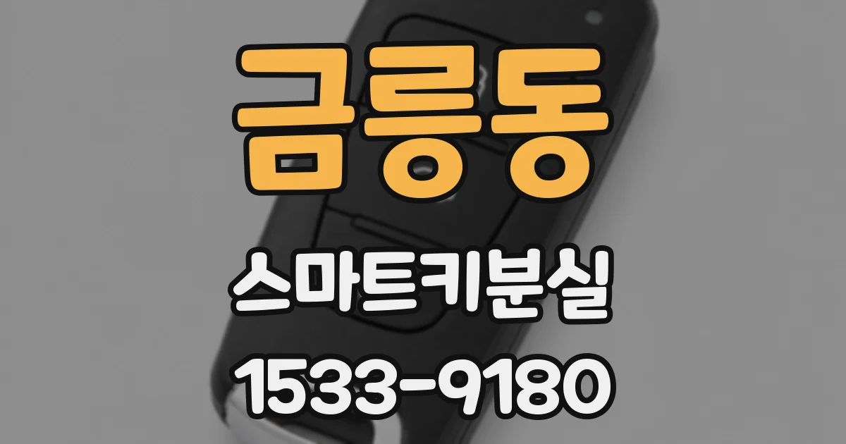 금릉동 스마트키분실