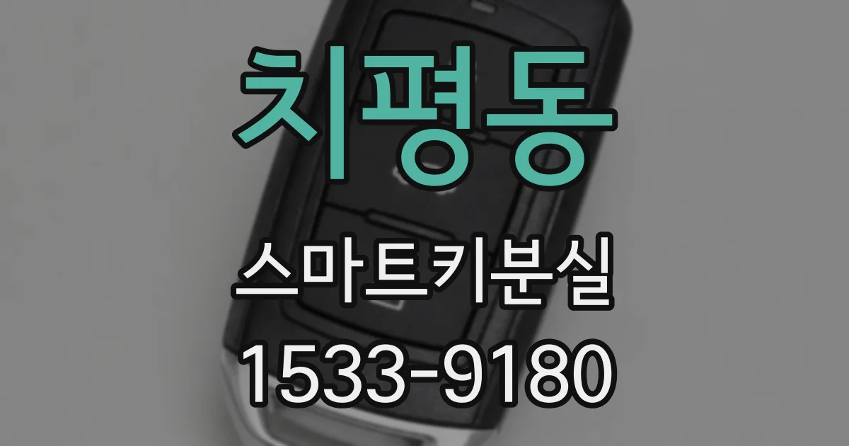 치평동 스마트키분실