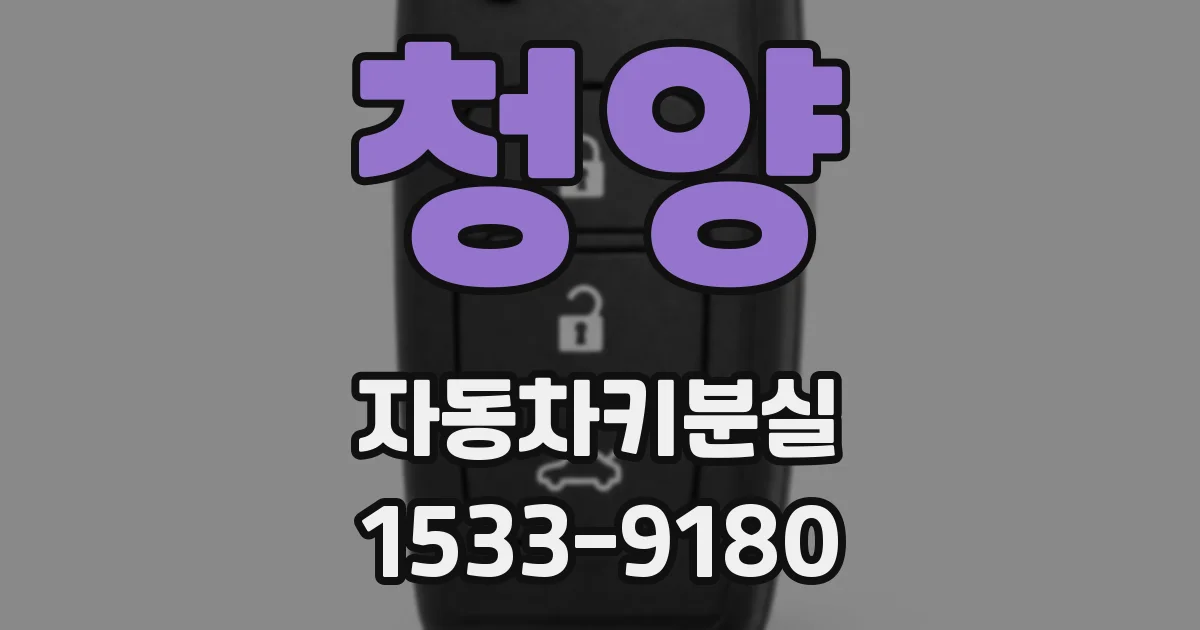 청양 자동차키분실