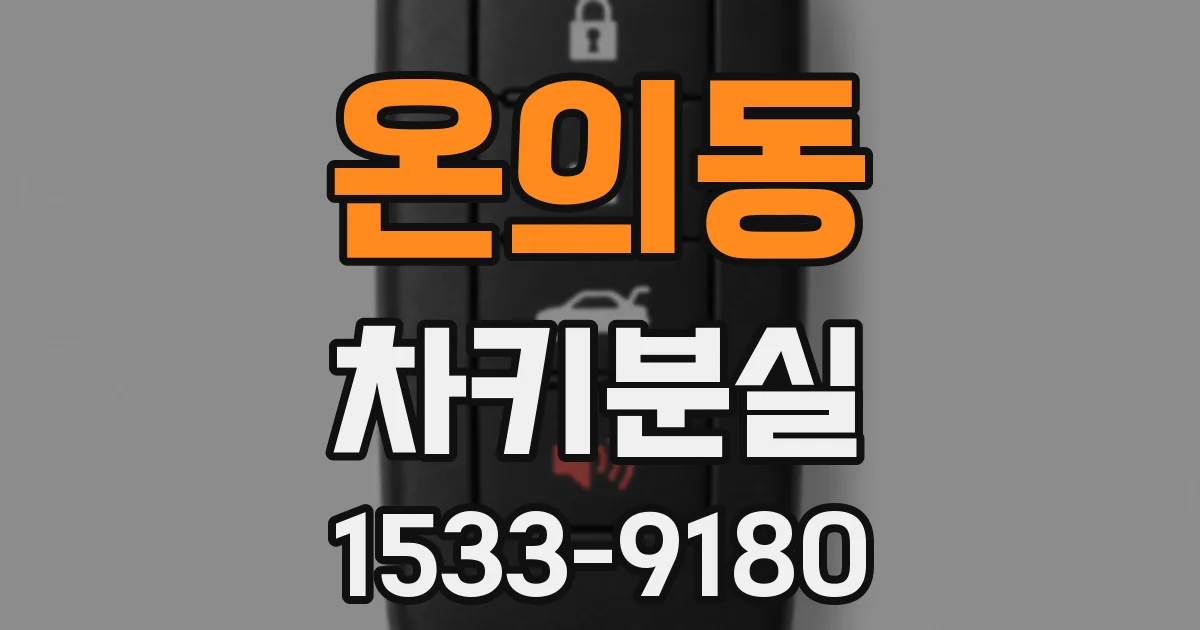 온의동 차키분실