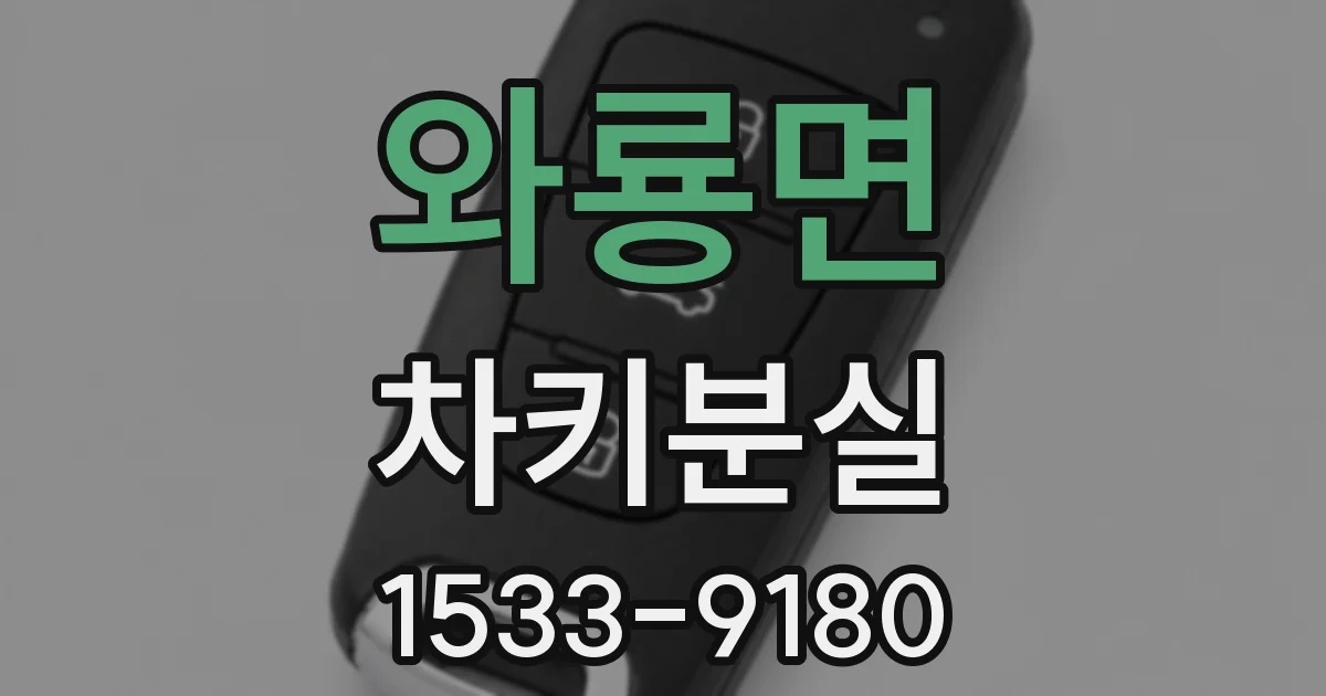 와룡면 차키분실