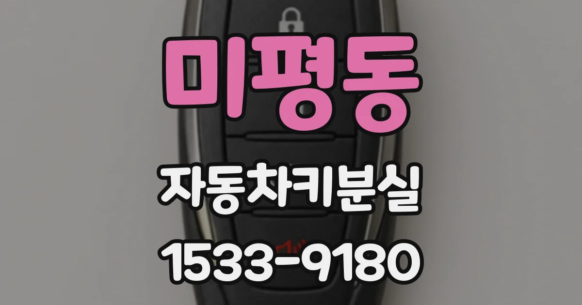 미평동 자동차키분실