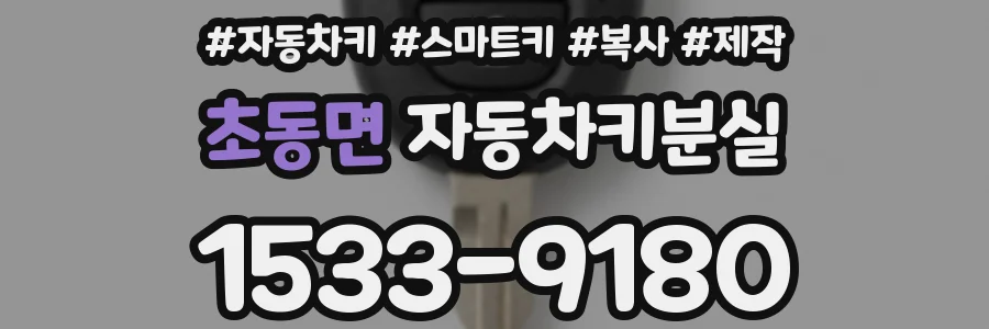 초동면 자동차키분실