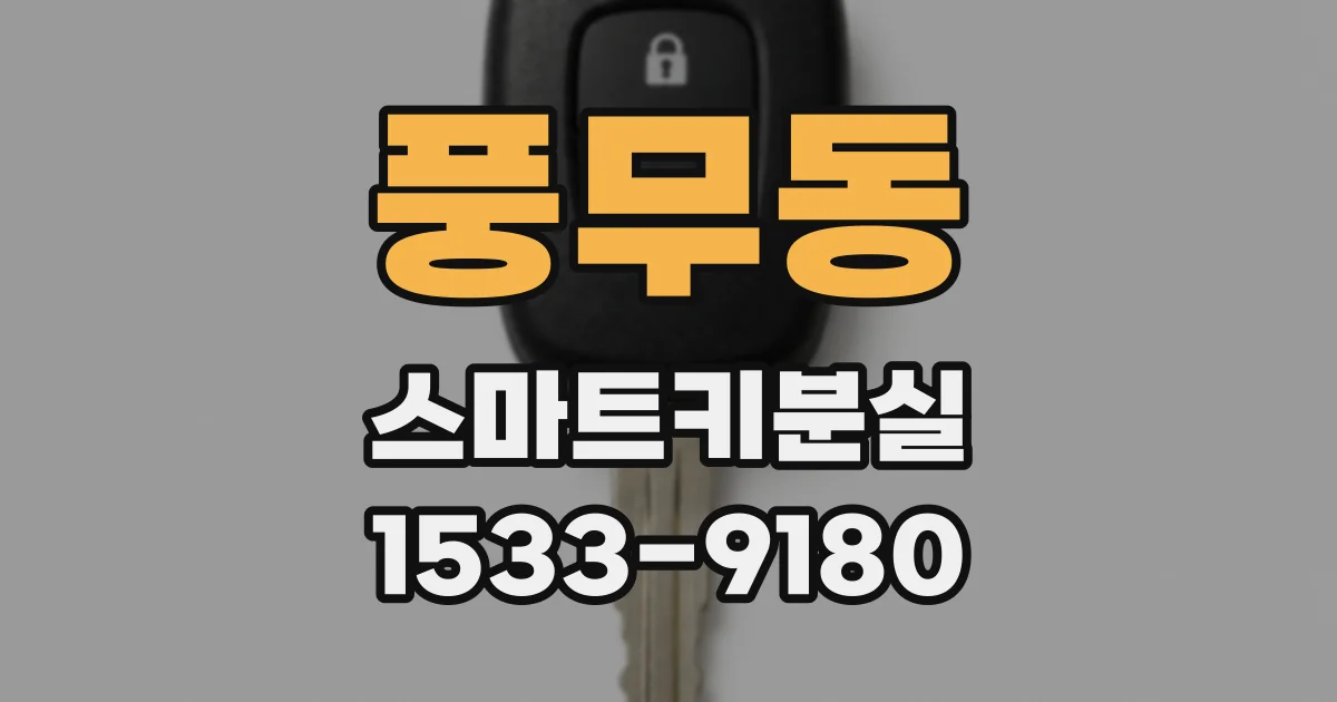 풍무동 스마트키분실