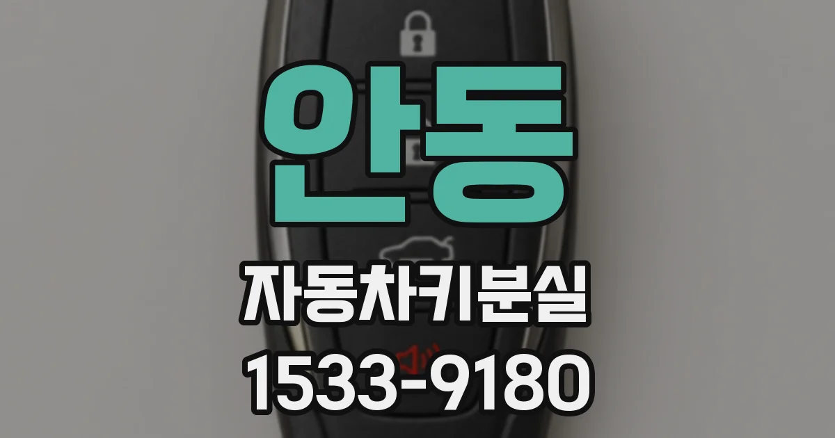 안동 자동차키분실