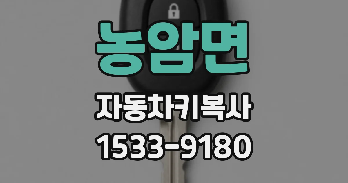 농암면 자동차키복사