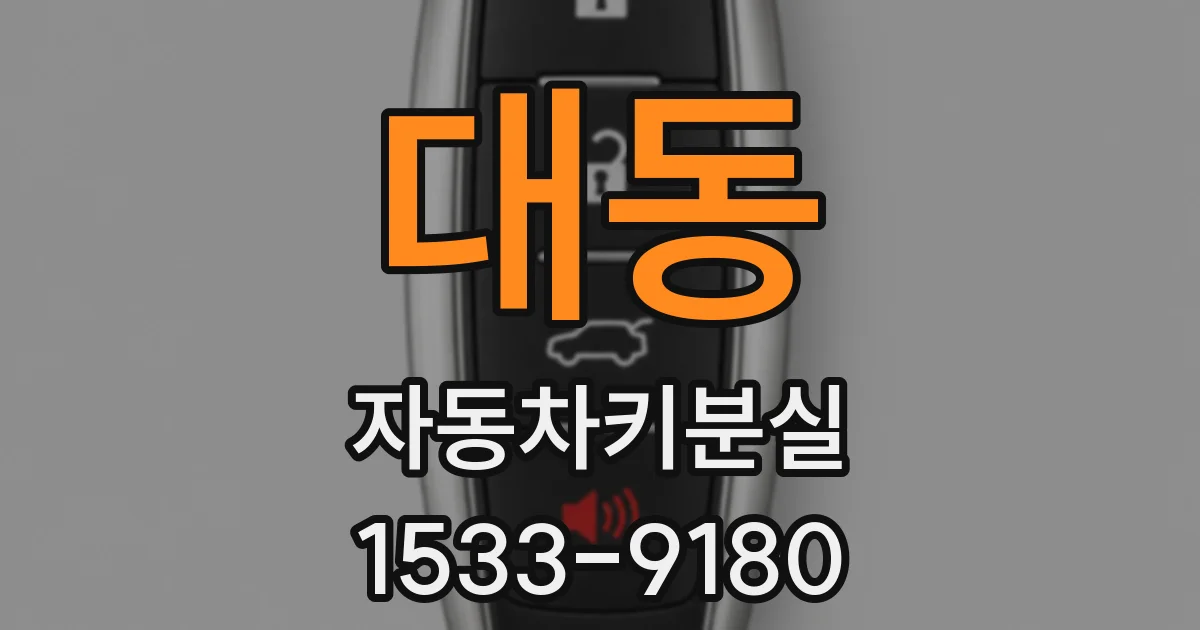 대동 자동차키분실