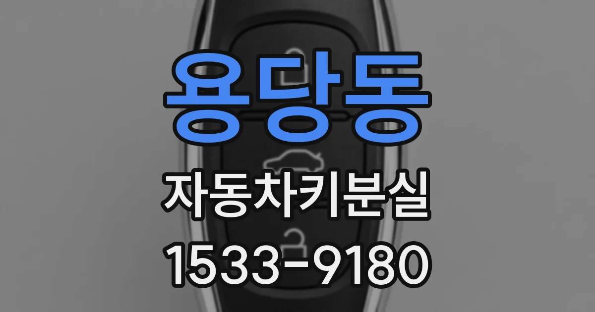 용당동 자동차키분실