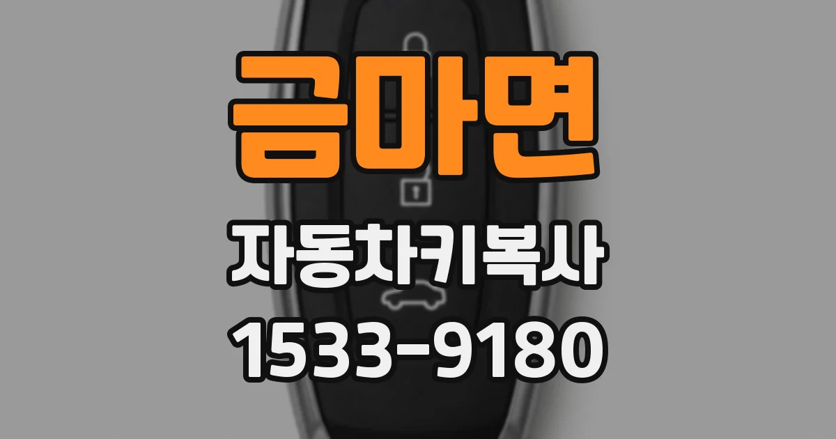 금마면 자동차키복사