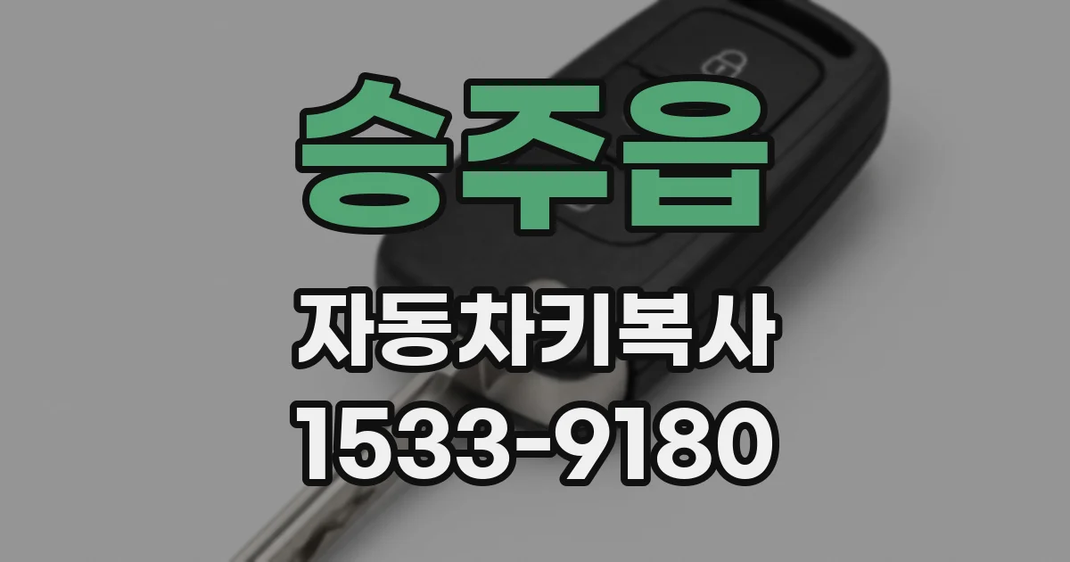 승주읍 자동차키복사