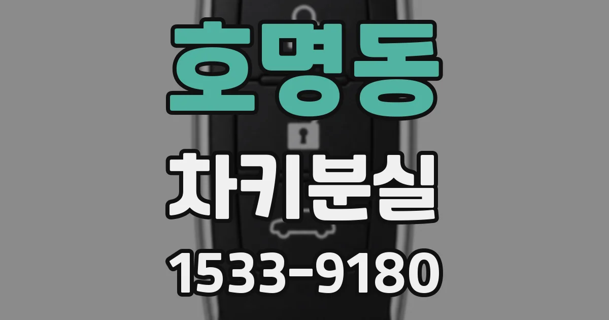 호명동 차키분실