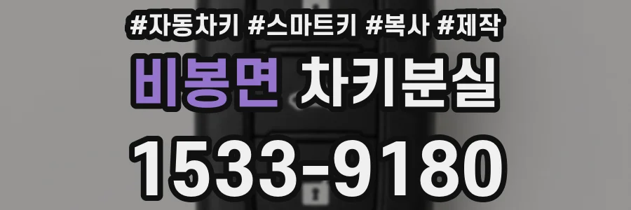 비봉면 차키분실