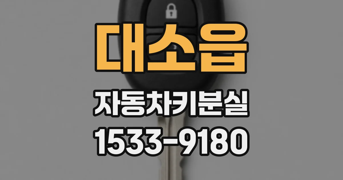 대소읍 자동차키분실