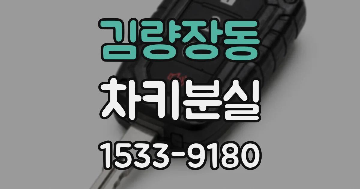 김량장동 차키분실