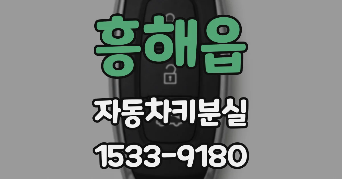 흥해읍 자동차키분실