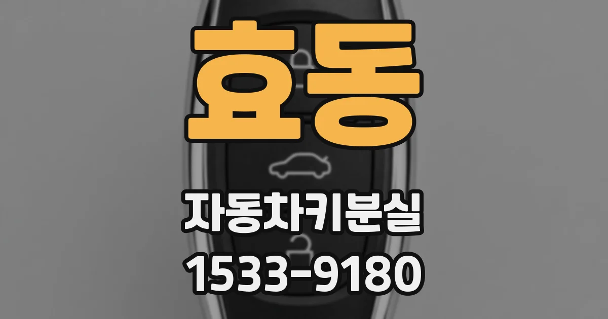 효동 자동차키분실