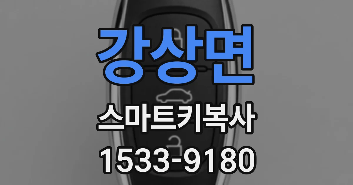 강상면 스마트키복사
